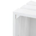 Caja blanca vertical grande con ruedas
